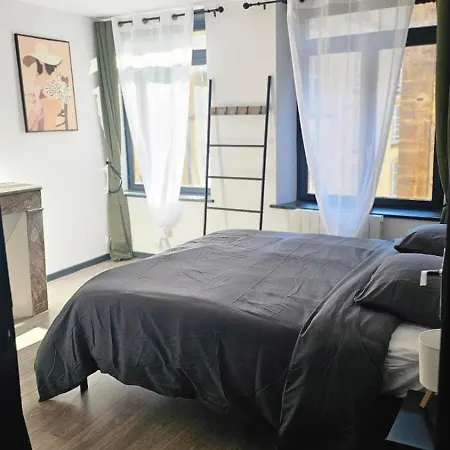 Le Refuge Majestueux - T2 - Wifi-parking- Chateau Apartment Sedan