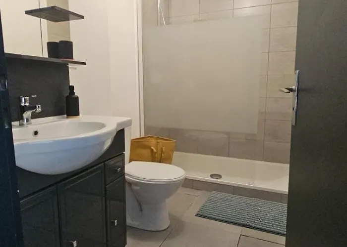 Le Refuge Majestueux - T2 - Wifi-parking- Chateau Apartment Sedan