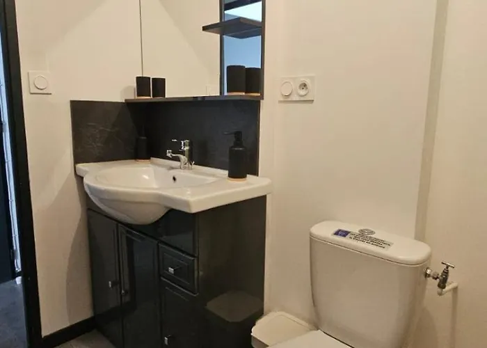 Apartment Le Refuge Majestueux - T2 - Wifi-parking- Chateau *