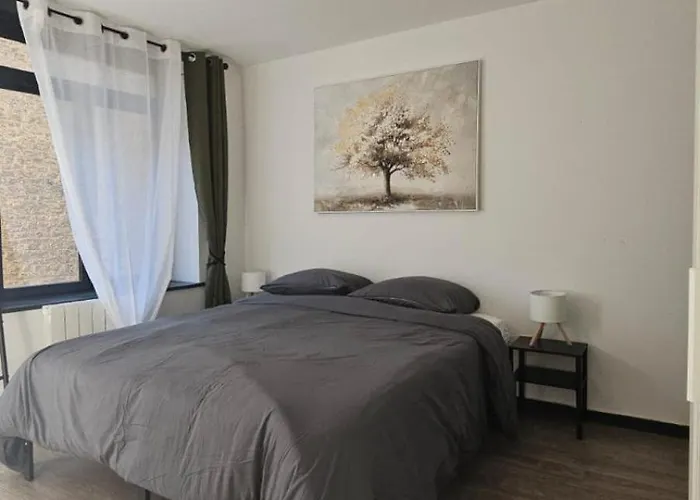 Apartment Le Refuge Majestueux - T2 - Wifi-parking- Chateau