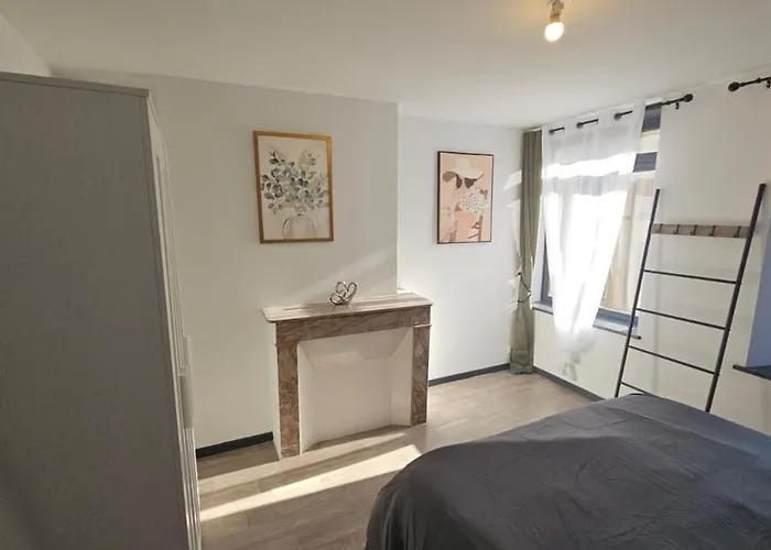 Apartment Le Refuge Majestueux - T2 - Wifi-parking- Chateau