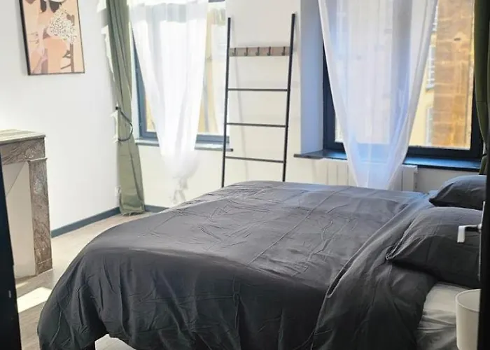 Le Refuge Majestueux - T2 - Wifi-parking- Chateau Apartment Sedan